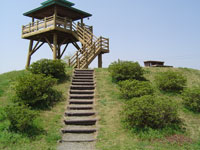 美浦村大須賀津湖畔農村公園
